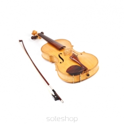 Violin